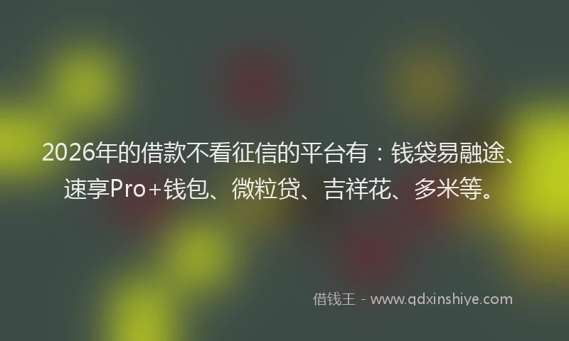2026年的借款不看征信的平台有：钱袋易融途、速享Pro+钱包、微粒贷、吉祥花、多米等。