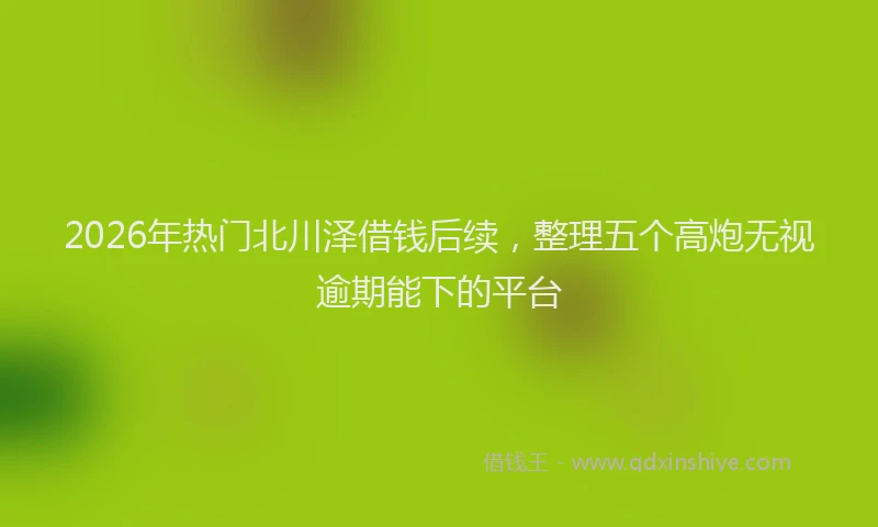 2026年热门北川泽借钱后续，整理五个高炮无视逾期能下的平台