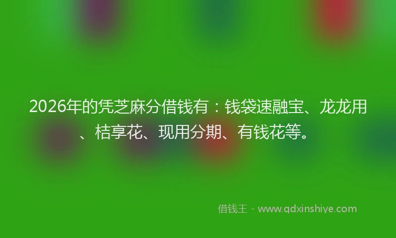 2026年的凭芝麻分借钱有：钱袋速融宝、龙龙用、桔享花、现用分期、有钱花等。