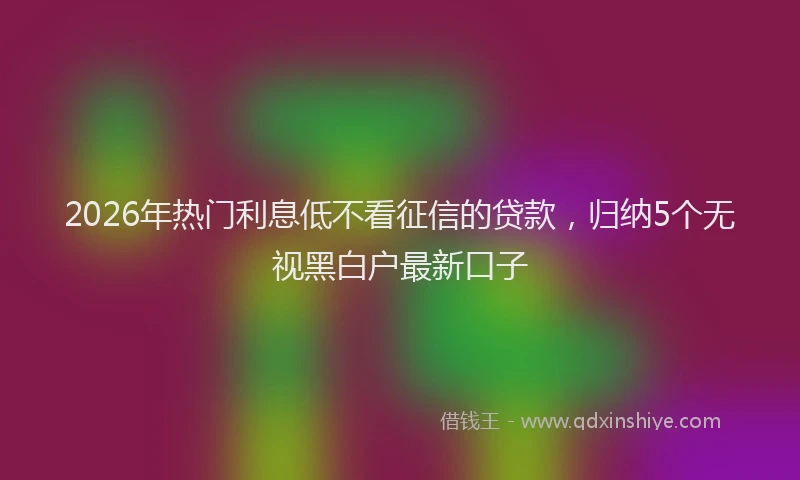 2026年热门利息低不看征信的贷款，归纳5个无视黑白户最新口子