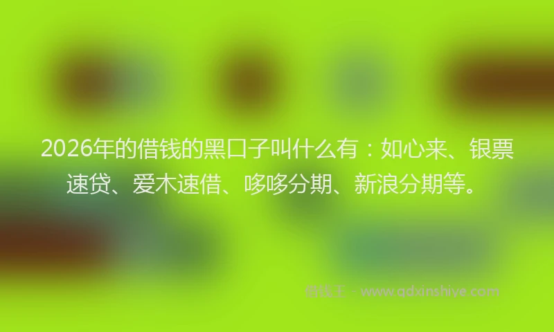 2026年的借钱的黑口子叫什么有：如心来、银票速贷、爱木速借、哆哆分期、新浪分期等。