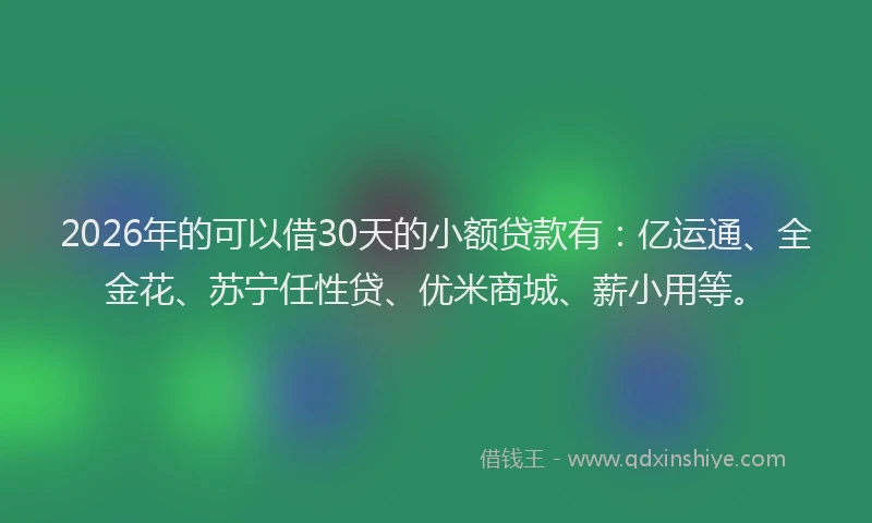 2026年的可以借30天的小额贷款有：亿运通、全金花、苏宁任性贷、优米商城、薪小用等。