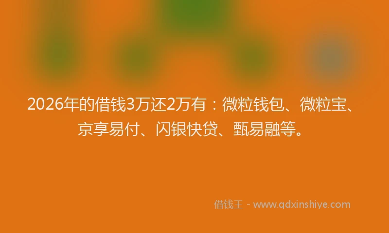 2026年的借钱3万还2万有：微粒钱包、微粒宝、京享易付、闪银快贷、甄易融等。