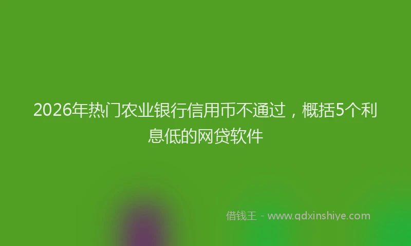 2026年热门农业银行信用币不通过，概括5个利息低的网贷软件