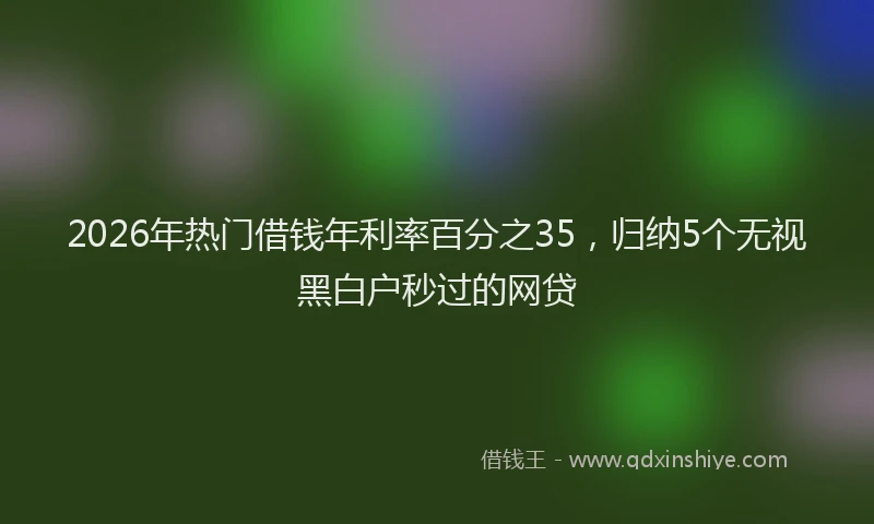 2026年热门借钱年利率百分之35，归纳5个无视黑白户秒过的网贷