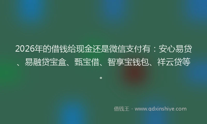 2026年的借钱给现金还是微信支付有：安心易贷、易融贷宝盒、甄宝借、智享宝钱包、祥云贷等。