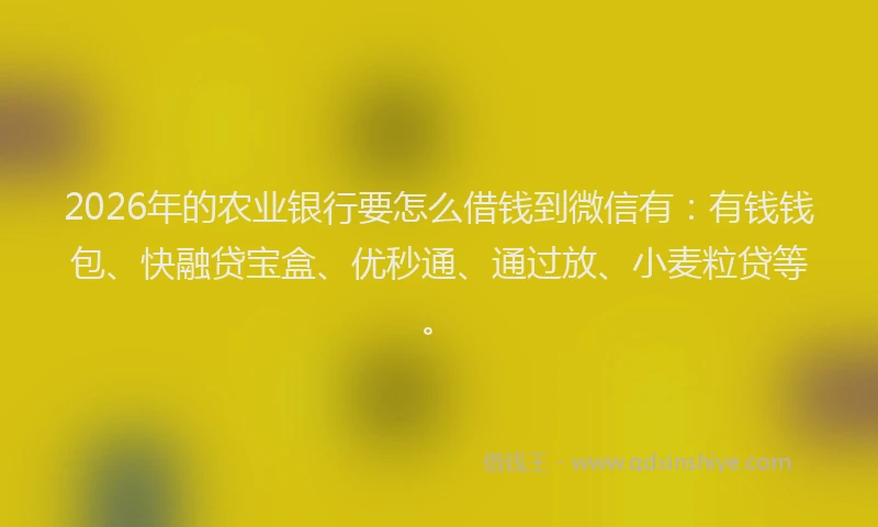 2026年的农业银行要怎么借钱到微信有：有钱钱包、快融贷宝盒、优秒通、通过放、小麦粒贷等。
