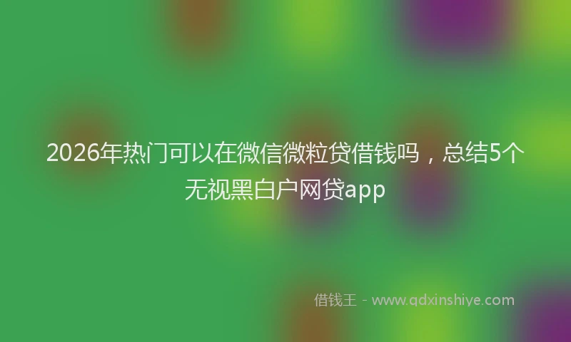 2026年热门可以在微信微粒贷借钱吗，总结5个无视黑白户网贷app