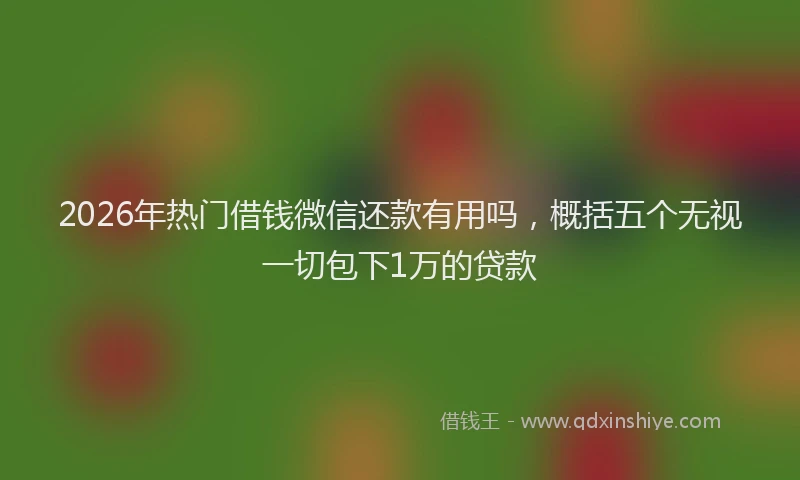 2026年热门借钱微信还款有用吗，概括五个无视一切包下1万的贷款