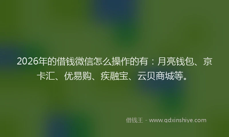 2026年的借钱微信怎么操作的有：月亮钱包、京卡汇、优易购、疾融宝、云贝商城等。