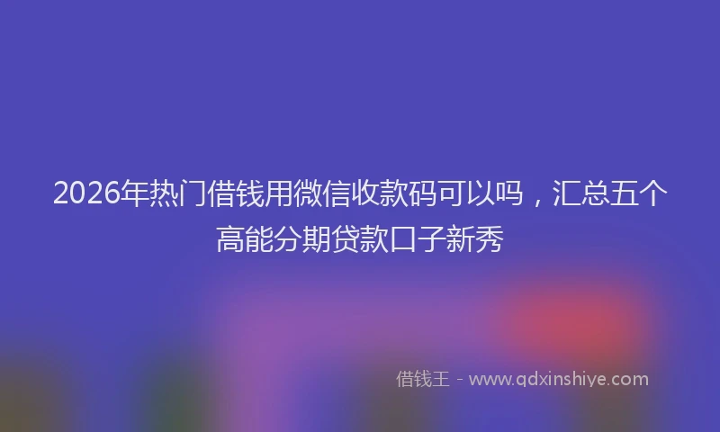 2026年热门借钱用微信收款码可以吗，汇总五个高能分期贷款口子新秀