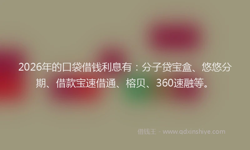 2026年的口袋借钱利息有：分子贷宝盒、悠悠分期、借款宝速借通、榕贝、360速融等。