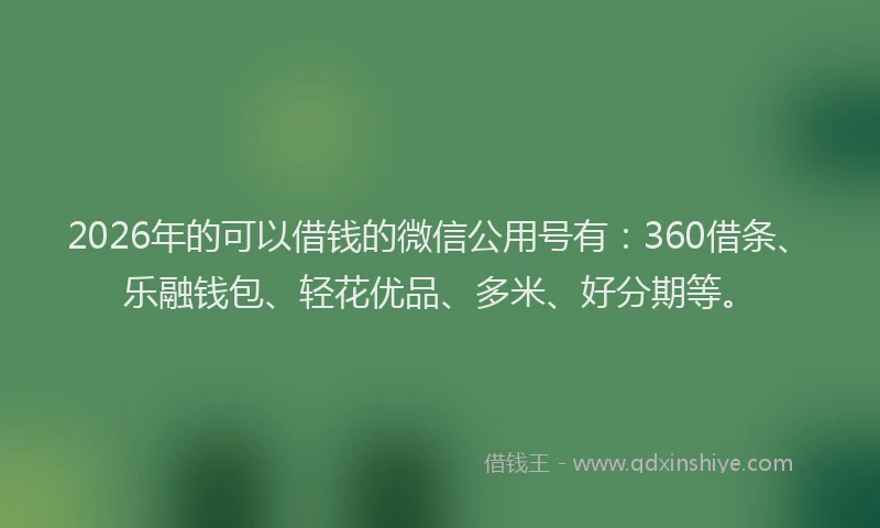 2026年的可以借钱的微信公用号有：360借条、乐融钱包、轻花优品、多米、好分期等。