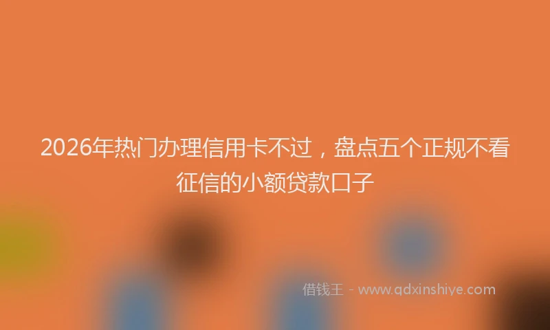 2026年热门办理信用卡不过，盘点五个正规不看征信的小额贷款口子