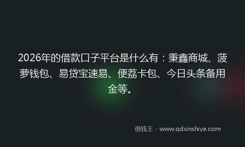 2026年的借款口子平台是什么有：秉鑫商城、菠萝钱包、易贷宝速易、便荔卡包、今日头条备用金等。