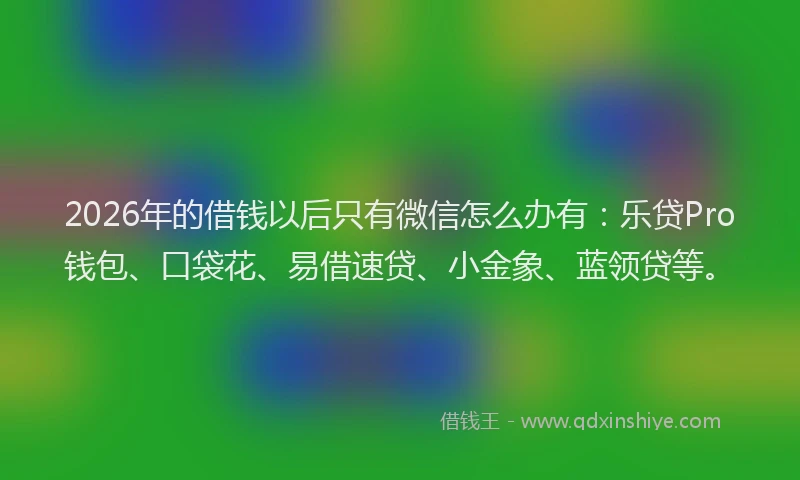 2026年的借钱以后只有微信怎么办有：乐贷Pro钱包、口袋花、易借速贷、小金象、蓝领贷等。