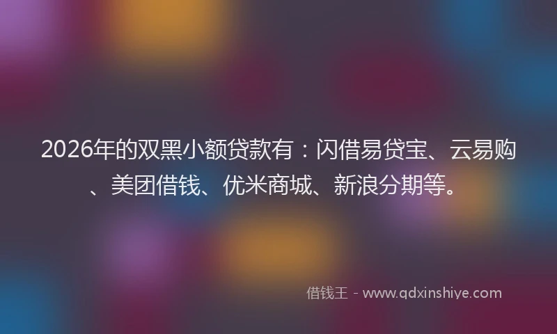 2026年的双黑小额贷款有：闪借易贷宝、云易购、美团借钱、优米商城、新浪分期等。