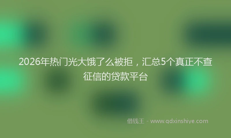 2026年热门光大饿了么被拒，汇总5个真正不查征信的贷款平台