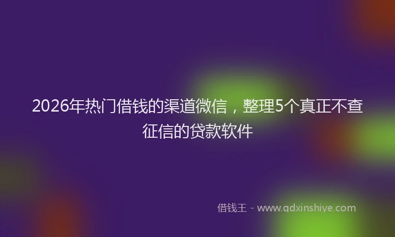 2026年热门借钱的渠道微信，整理5个真正不查征信的贷款软件