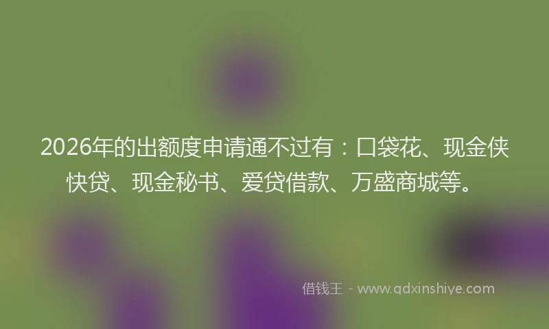 2026年的出额度申请通不过有：口袋花、现金侠快贷、现金秘书、爱贷借款、万盛商城等。