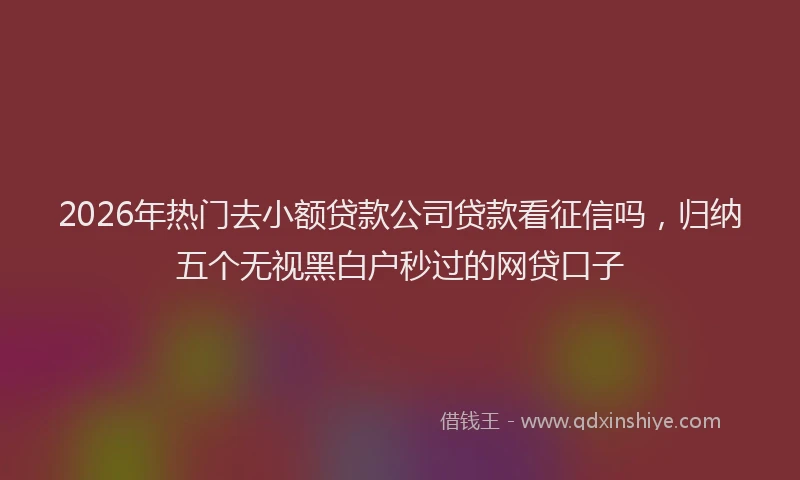 2026年热门去小额贷款公司贷款看征信吗，归纳五个无视黑白户秒过的网贷口子