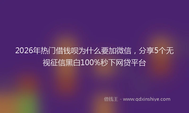 2026年热门借钱呗为什么要加微信，分享5个无视征信黑白100%秒下网贷平台
