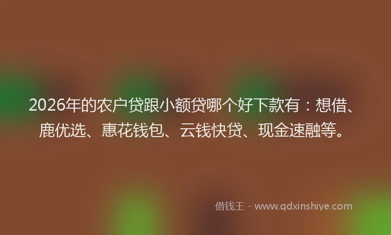 2026年的农户贷跟小额贷哪个好下款有：想借、鹿优选、惠花钱包、云钱快贷、现金速融等。