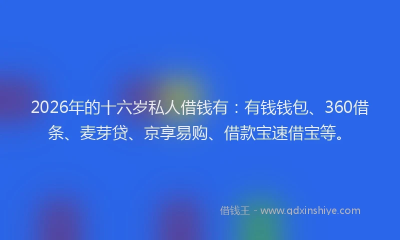 2026年的十六岁私人借钱有：有钱钱包、360借条、麦芽贷、京享易购、借款宝速借宝等。