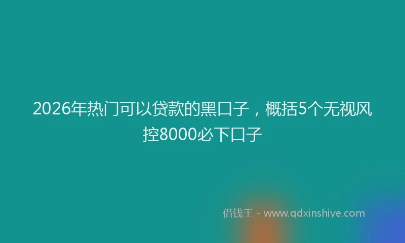 2026年热门可以贷款的黑口子，概括5个无视风控8000必下口子