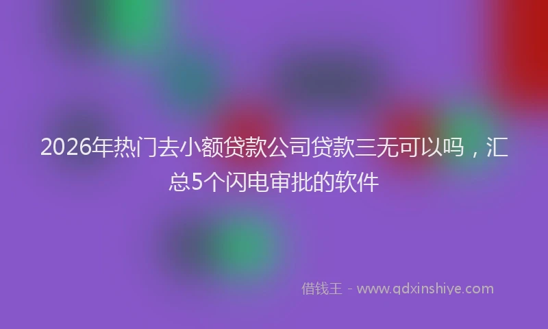 2026年热门去小额贷款公司贷款三无可以吗，汇总5个闪电审批的软件