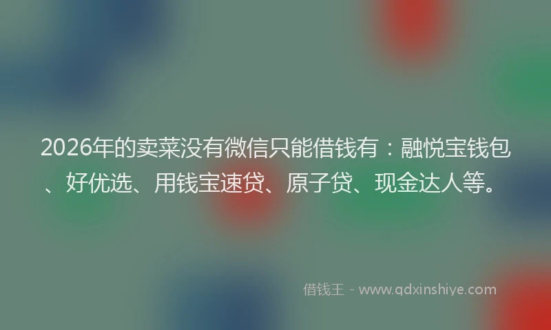 2026年的卖菜没有微信只能借钱有：融悦宝钱包、好优选、用钱宝速贷、原子贷、现金达人等。