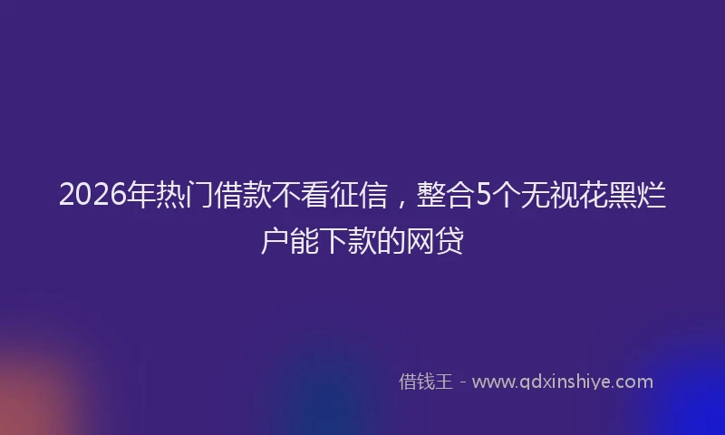 2026年热门借款不看征信，整合5个无视花黑烂户能下款的网贷
