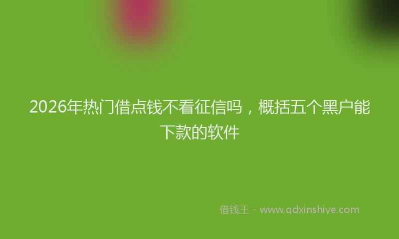 2026年热门借点钱不看征信吗，概括五个黑户能下款的软件