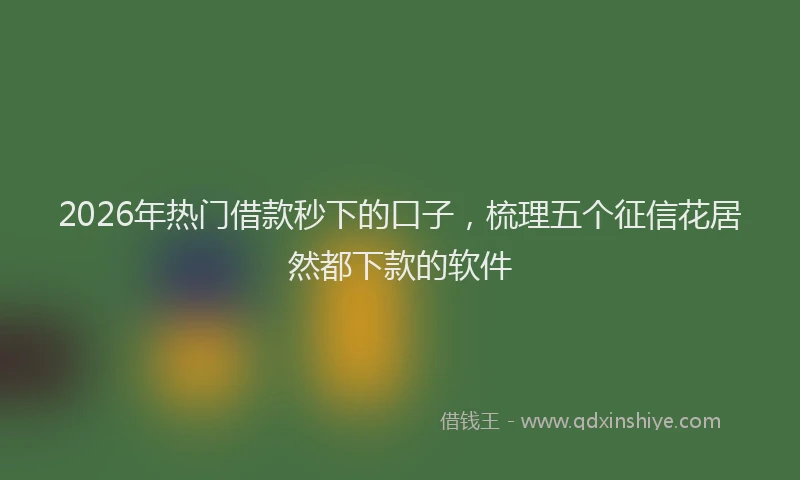 2026年热门借款秒下的口子，梳理五个征信花居然都下款的软件