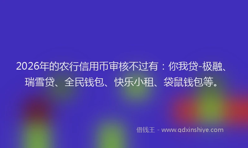 2026年的农行信用币审核不过有：你我贷-极融、瑞雪贷、全民钱包、快乐小租、袋鼠钱包等。