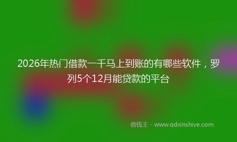 2026年热门借款一千马上到账的有哪些软件，罗列5个12月能贷款的平台