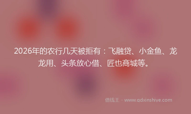 2026年的农行几天被拒有：飞融贷、小金鱼、龙龙用、头条放心借、匠也商城等。