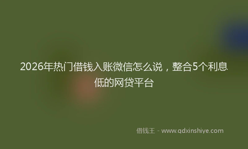 2026年热门借钱入账微信怎么说，整合5个利息低的网贷平台