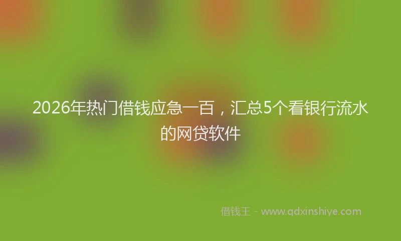 2026年热门借钱应急一百，汇总5个看银行流水的网贷软件