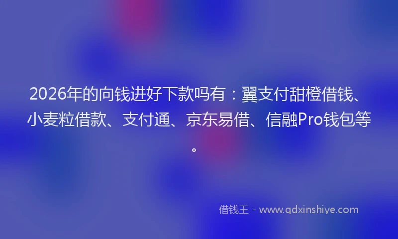 2026年的向钱进好下款吗有：翼支付甜橙借钱、小麦粒借款、支付通、京东易借、信融Pro钱包等。