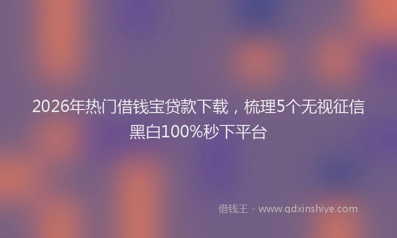 2026年热门借钱宝贷款下载，梳理5个无视征信黑白100%秒下平台