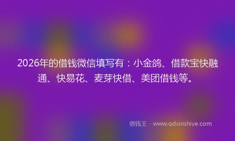2026年的借钱微信填写有：小金鸽、借款宝快融通、快易花、麦芽快借、美团借钱等。