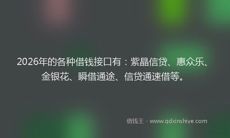 2026年的各种借钱接口有：紫晶信贷、惠众乐、金银花、瞬借通途、信贷通速借等。