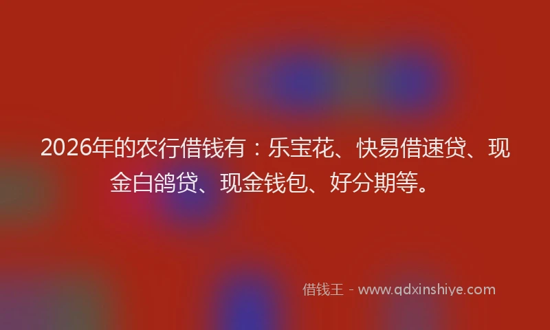2026年的农行借钱有：乐宝花、快易借速贷、现金白鸽贷、现金钱包、好分期等。