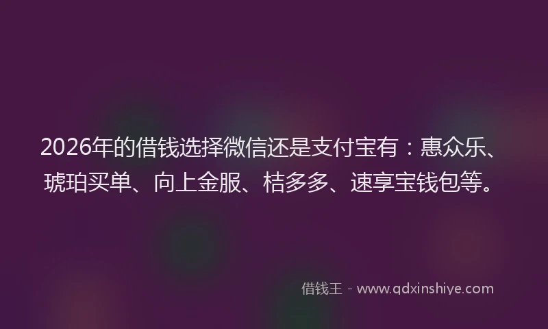 2026年的借钱选择微信还是支付宝有：惠众乐、琥珀买单、向上金服、桔多多、速享宝钱包等。