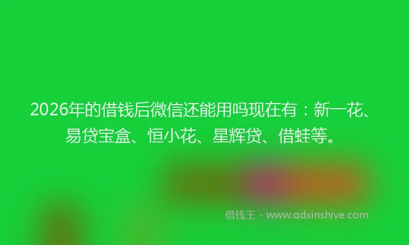 2026年的借钱后微信还能用吗现在有：新一花、易贷宝盒、恒小花、星辉贷、借蛙等。