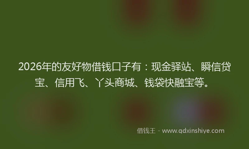 2026年的友好物借钱口子有：现金驿站、瞬信贷宝、信用飞、丫头商城、钱袋快融宝等。