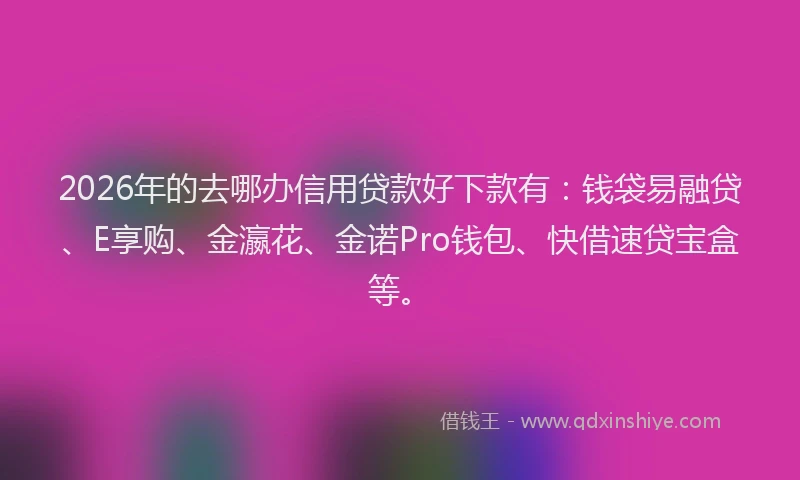 2026年的去哪办信用贷款好下款有：钱袋易融贷、E享购、金瀛花、金诺Pro钱包、快借速贷宝盒等。