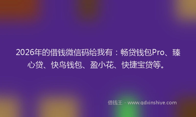 2026年的借钱微信码给我有：畅贷钱包Pro、臻心贷、快鸟钱包、盈小花、快捷宝贷等。