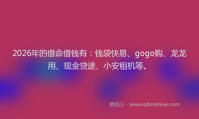 2026年的借命借钱有：钱袋快易、gogo购、龙龙用、现金贷途、小安租机等。
